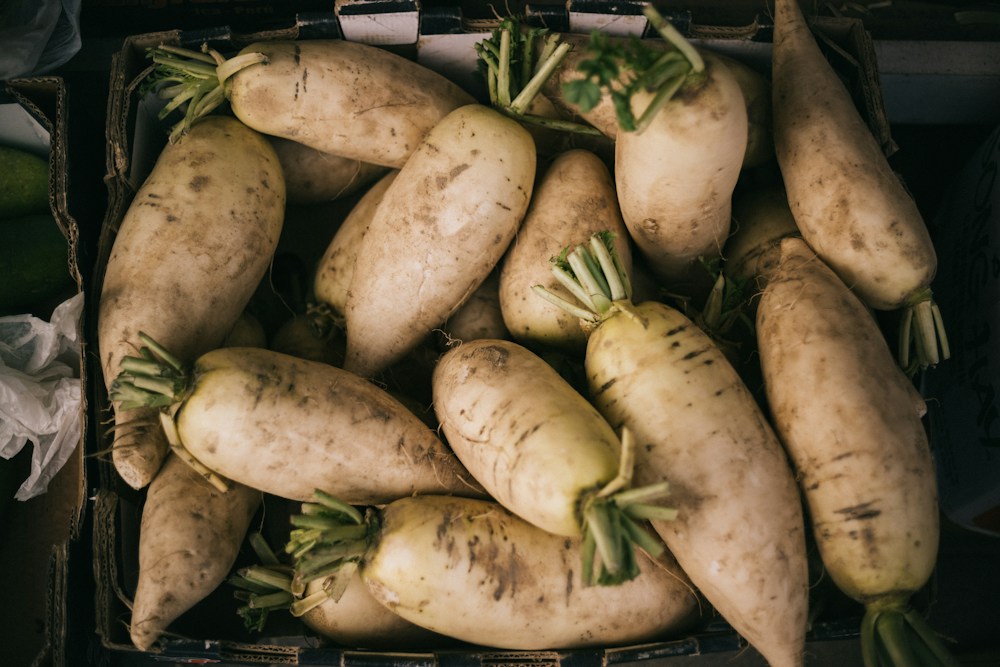 White Radish